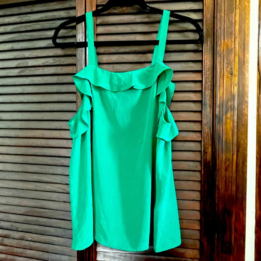 NWT Joie Joplin Silk top - Large